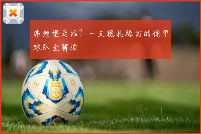 弗赖堡是谁？一支稳扎稳打的德甲球队全解读