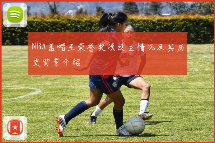 NBA盖帽王荣誉奖项设立情况及其历史背景介绍