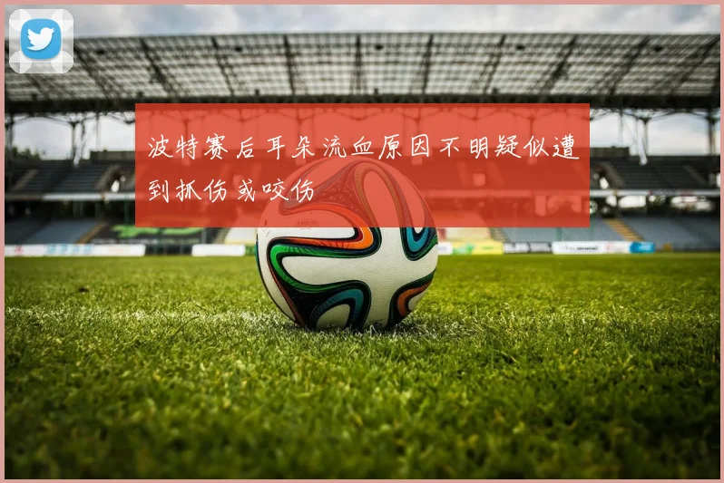 波特赛后耳朵流血原因不明疑似遭到抓伤或咬伤