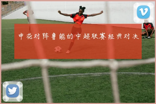 申花对阵鲁能的中超联赛经典对决