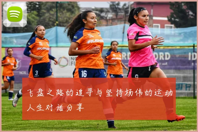 飞盘之路的追寻与坚持杨伟的运动人生对话分享